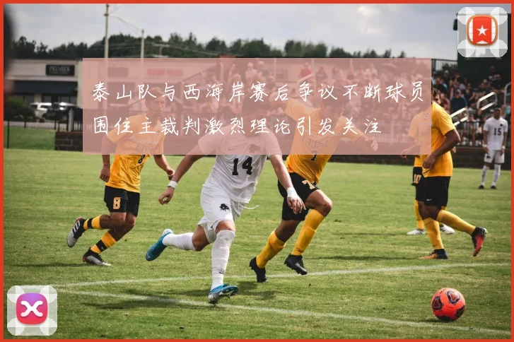 泰山队与西海岸赛后争议不断球员围住主裁判激烈理论引发关注