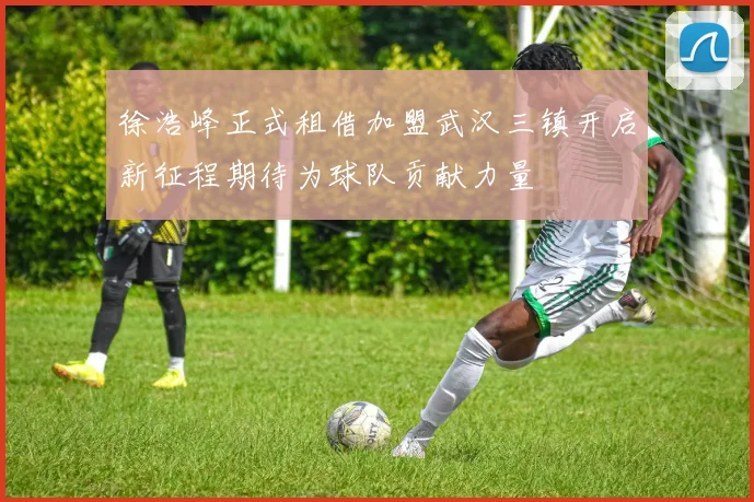 徐浩峰正式租借加盟武汉三镇开启新征程期待为球队贡献力量